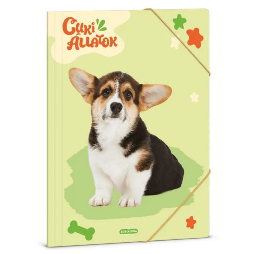 Cuki állatok gumis mappa A/4, welsh corgi