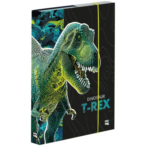 Dinoszaurusz füzetbox A/5, T-REX, zöld-fekete